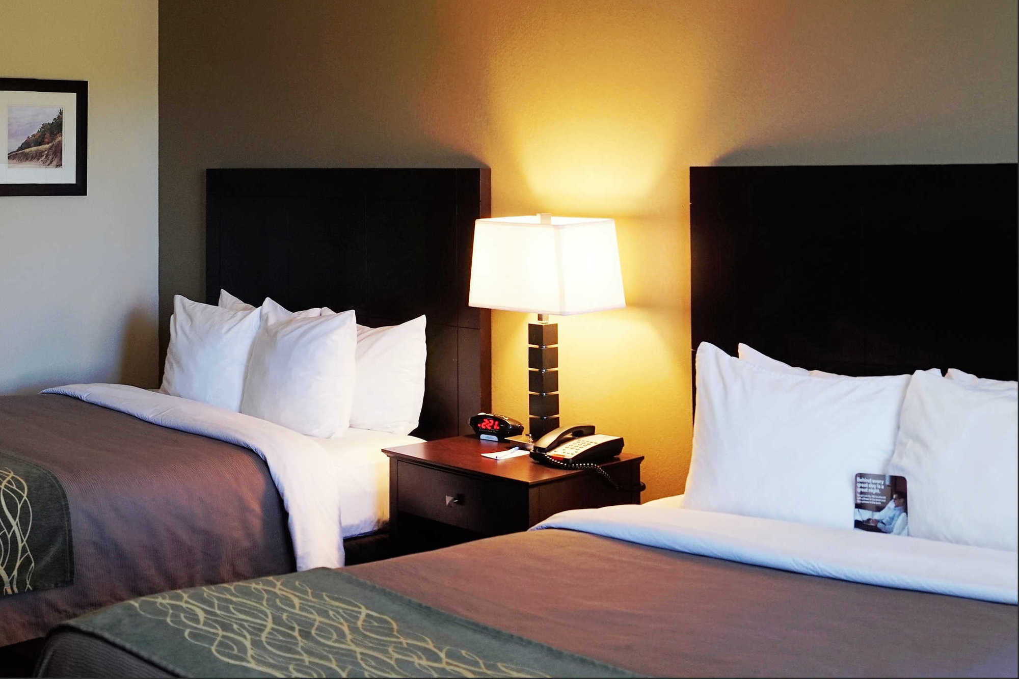 Comfort Inn & Suites Porter Near Indiana Dunes Kamer foto