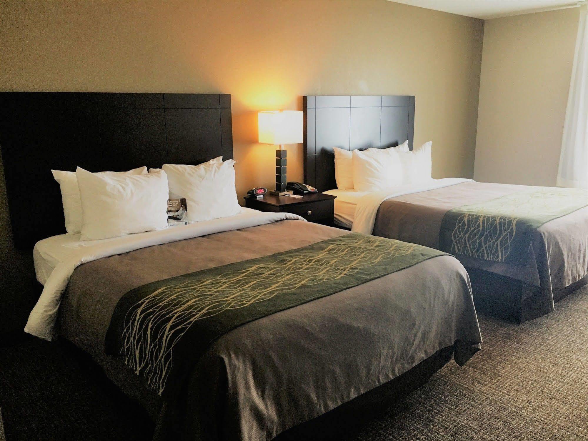 Comfort Inn & Suites Porter Near Indiana Dunes Buitenkant foto