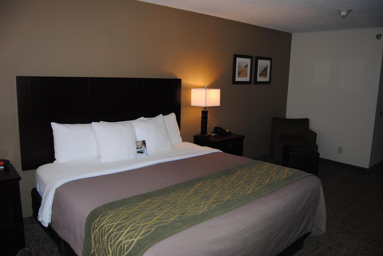 Comfort Inn & Suites Porter Near Indiana Dunes Buitenkant foto